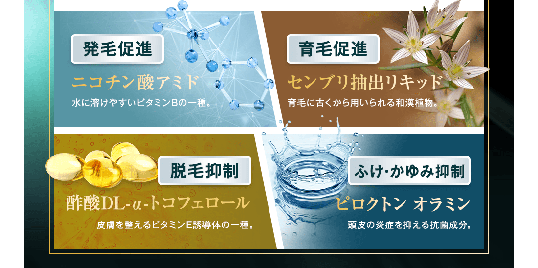 ニコチン酸アミド センブリ抽出液 酢酸DL-α-トコフェロール ピロクトンオラミン