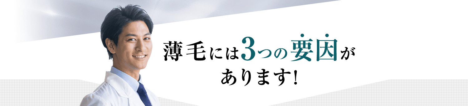 薄毛には3つの要因があります