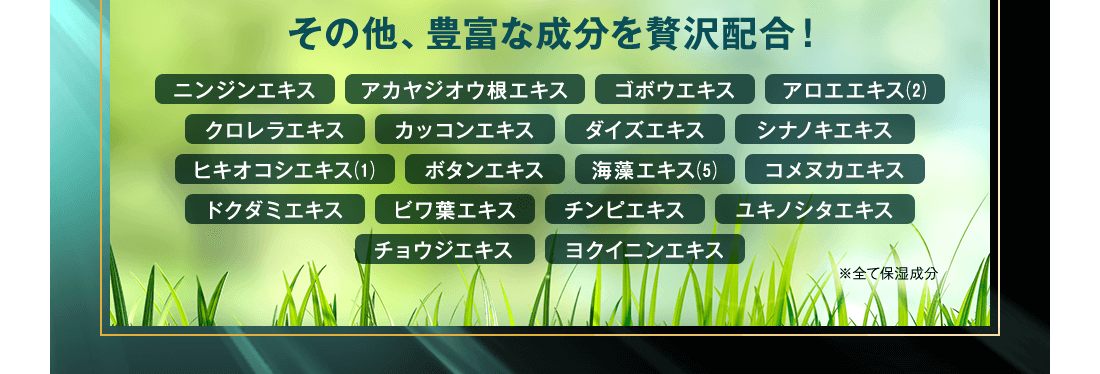 その他、豊富な成分を贅沢配合